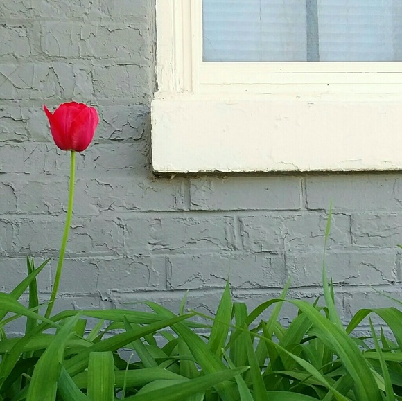 Meet your Posher, Candace.OFFERS WELCOME - Picture 1 of 1